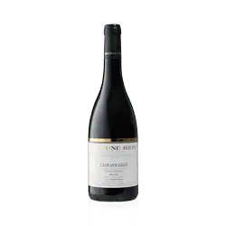 Domaine Jean-Charles Rion Clos-Vougeot "Petit Maupertuis" Grand Cru 2021