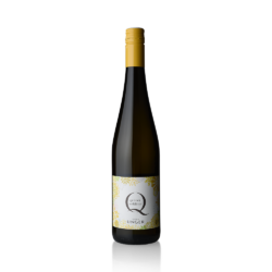 Weingut Petra Unger "Q" Gruner Veltliner 2024