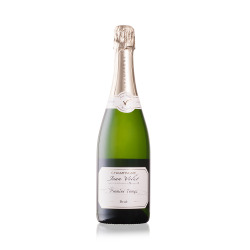 Jean Velut "Premier Temps" Brut