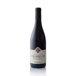 Pascale Rion-Delhautal Vosne Romanee 1er Cru "Les Beaux-Monts" 2022