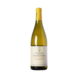 Terre Nere Etna Bianco 2023