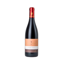 Wagner Stempel "Siefersheim" Pinot Noir Erste Lage 2023