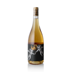 Felicette Wine First Contact, Orange Wine 2025