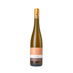 Wagner Stempel "Siefersheim" Riesling Porphyr Erste Lage 2025